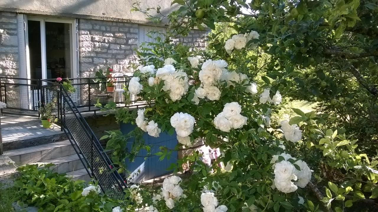 Au Domaine Des Oiseaux Bed and Breakfast Montredon  Buitenkant foto