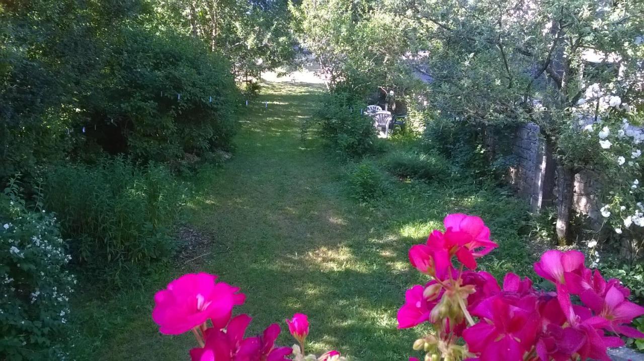 Au Domaine Des Oiseaux Bed and Breakfast Montredon  Buitenkant foto