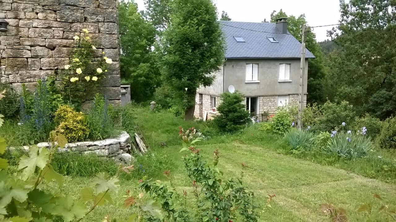 Au Domaine Des Oiseaux Bed and Breakfast Montredon  Buitenkant foto