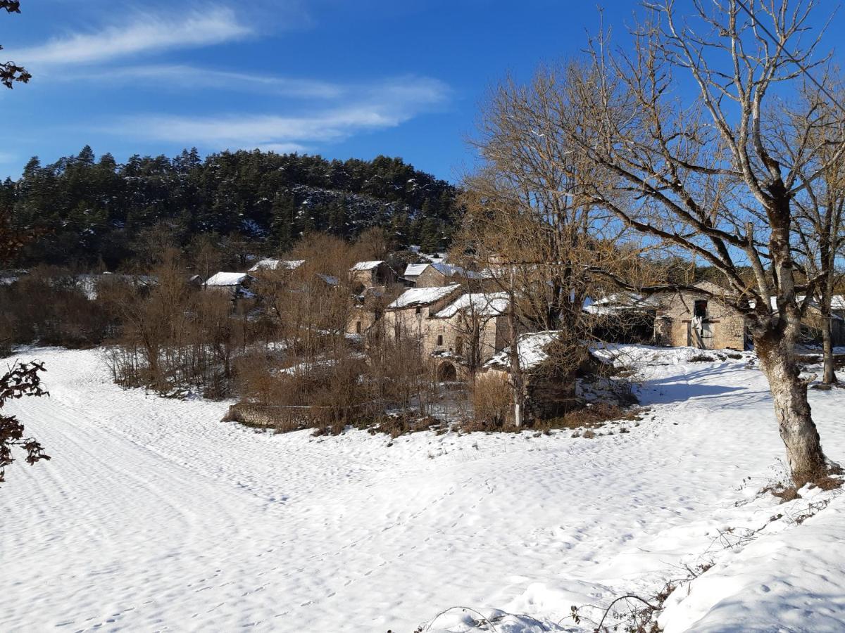 Au Domaine Des Oiseaux Bed and Breakfast Montredon  Buitenkant foto